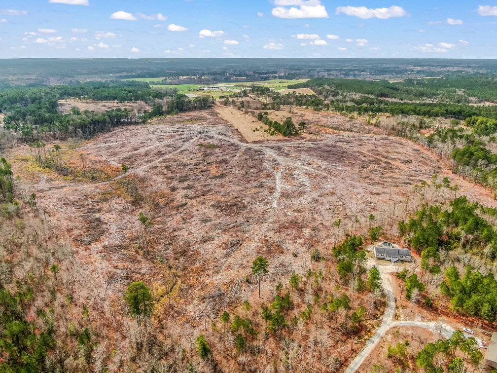 Auction for 119 + - Acres Carthage, NC  Moore County