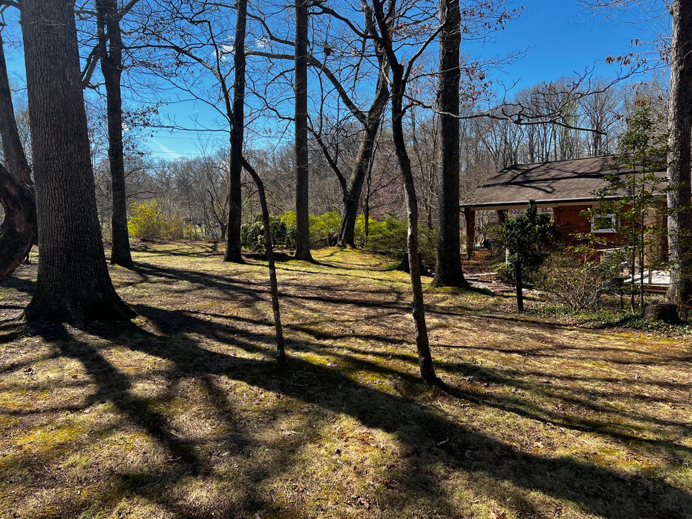 Advance Brick Rancher Auction