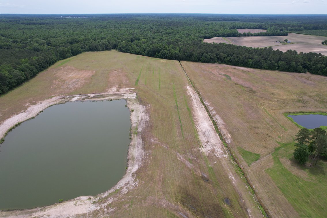 98.78+/- Acres in Kenansville, NC