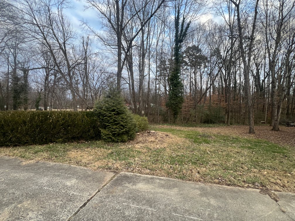 Franklin Road Find