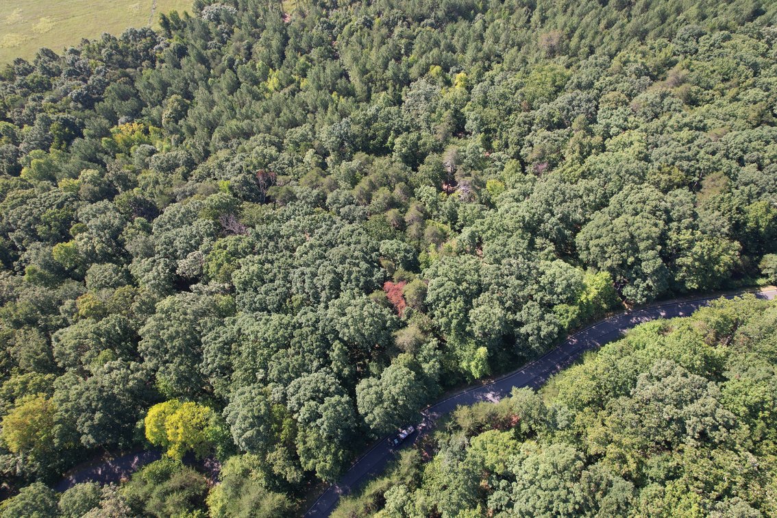 Springs at High Rock - 1.68± Acre Building Lot – Denton, NC