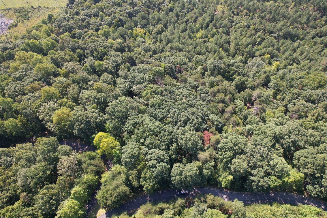 Springs at High Rock - 1.68± Acre Building Lot – Denton, NC