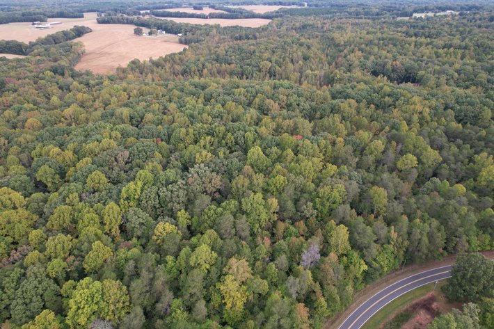 Image for 76 +/- Acres of Opportunity | Mocksville, NC