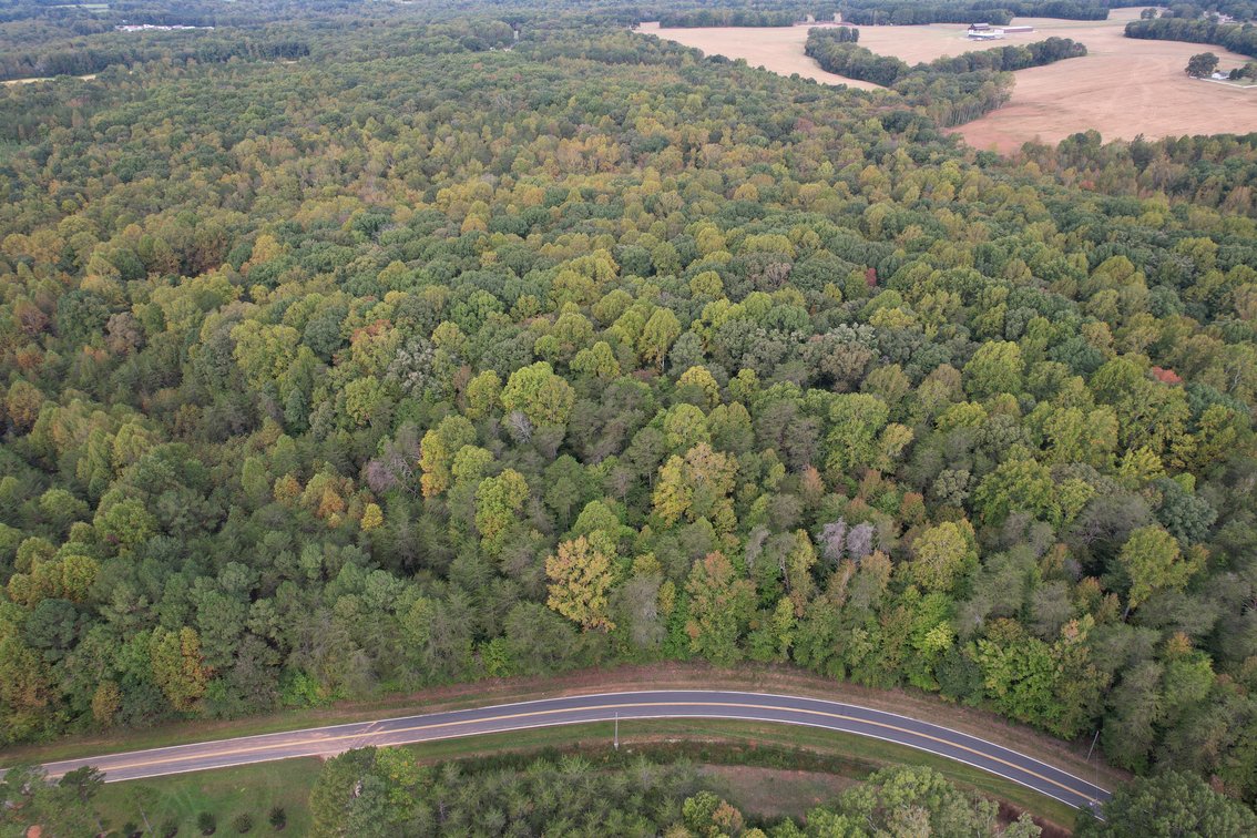 76 +/- Acres of Opportunity | Mocksville, NC