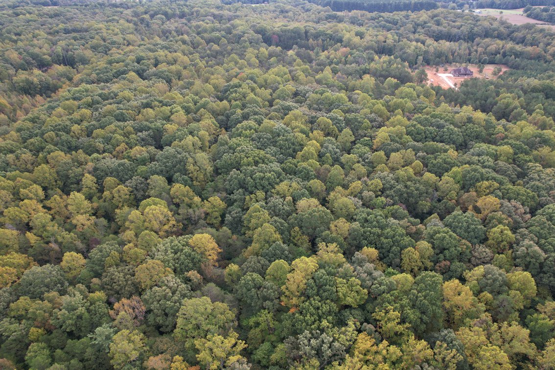 76 +/- Acres of Opportunity | Mocksville, NC