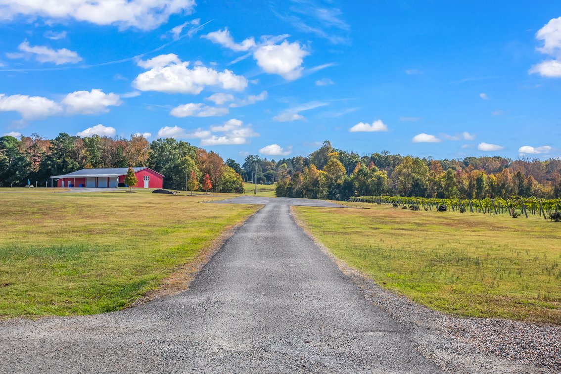 Barndo & Vine Estate Auction