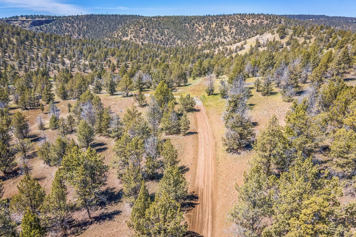 Image for Modoc Meadow