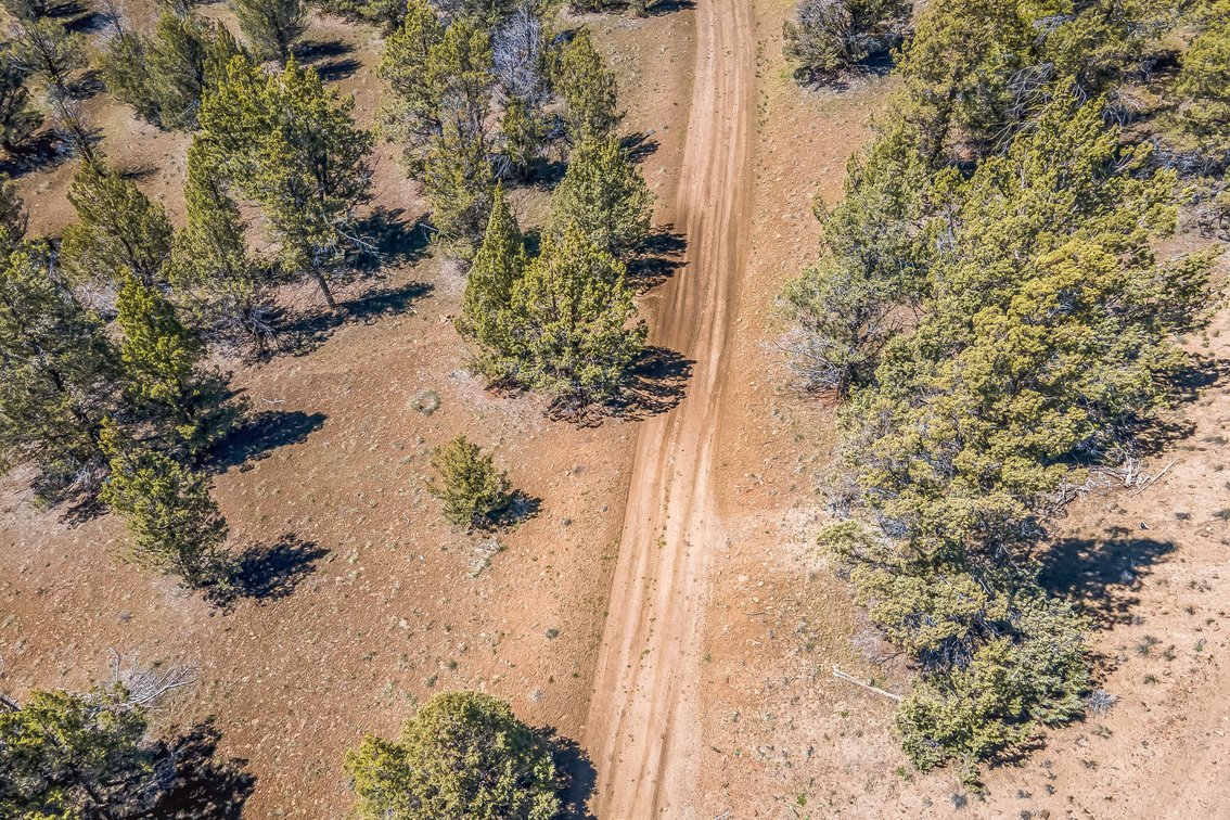 Image for Modoc Meadow