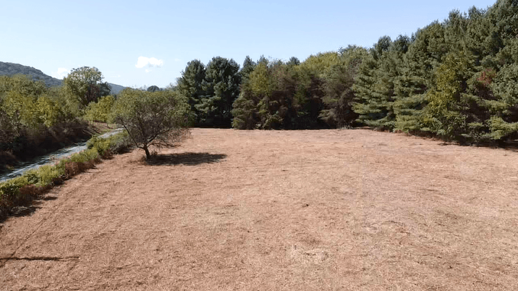 Image for **AUCTION CANCELED** 88+ Acres Wooded Property Bordering National Forest