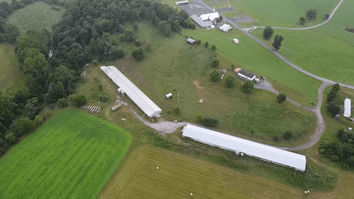Image for 11.4± Acre Poultry & Livestock Farm with Home
