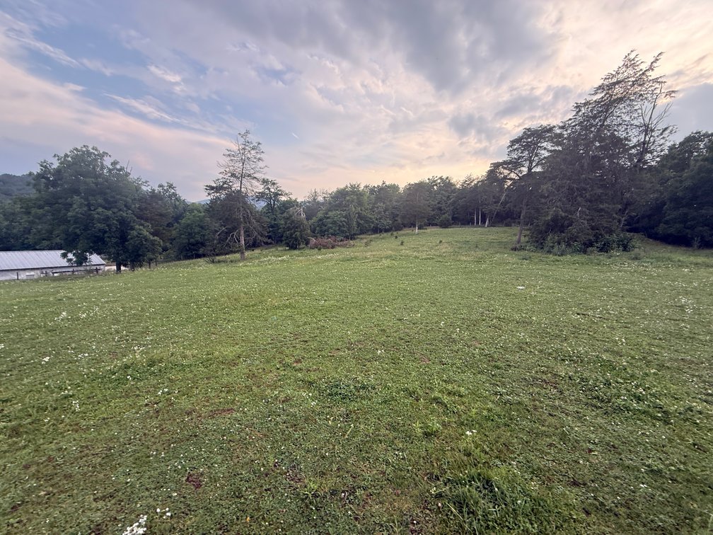 Image for 11.4± Acre Poultry & Livestock Farm with Home