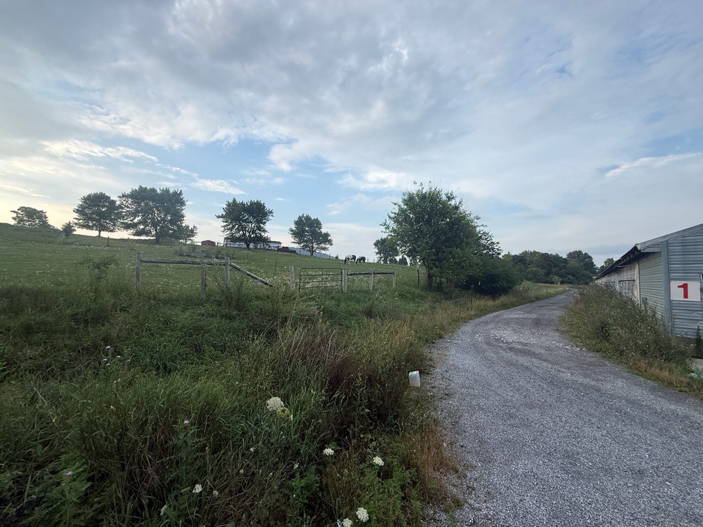 Image for 11.4± Acre Poultry & Livestock Farm with Home
