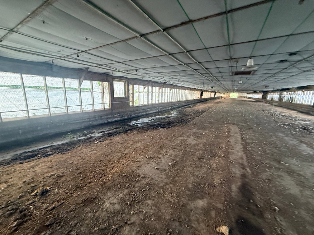 Image for 11.4± Acre Poultry & Livestock Farm with Home