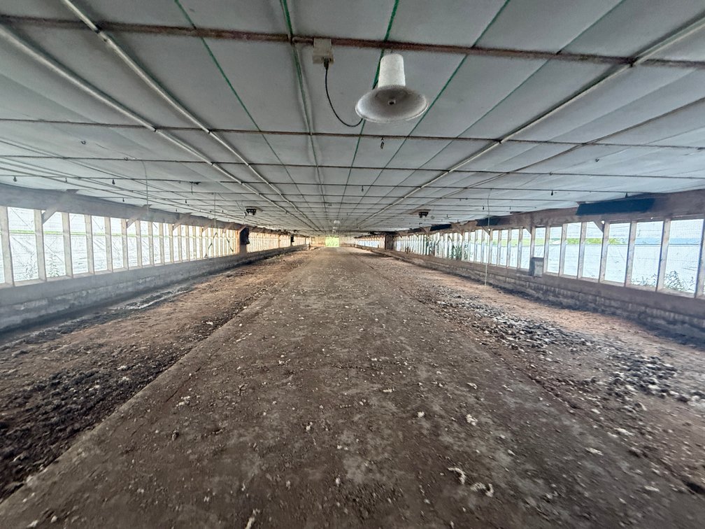 Image for 11.4± Acre Poultry & Livestock Farm with Home