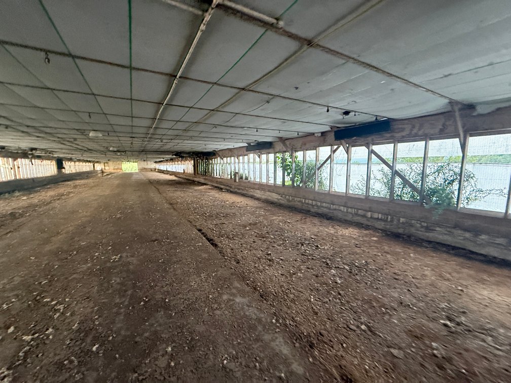Image for 11.4± Acre Poultry & Livestock Farm with Home
