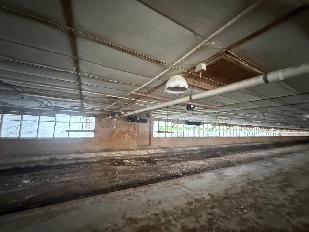 Image for 11.4± Acre Poultry & Livestock Farm with Home