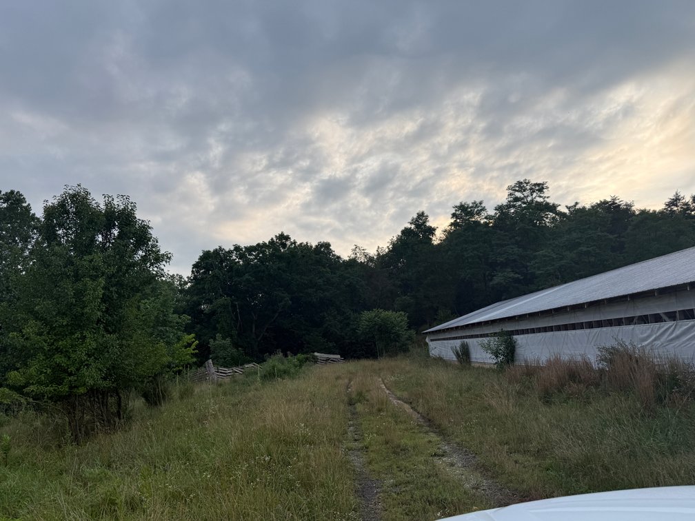 Image for 11.4± Acre Poultry & Livestock Farm with Home