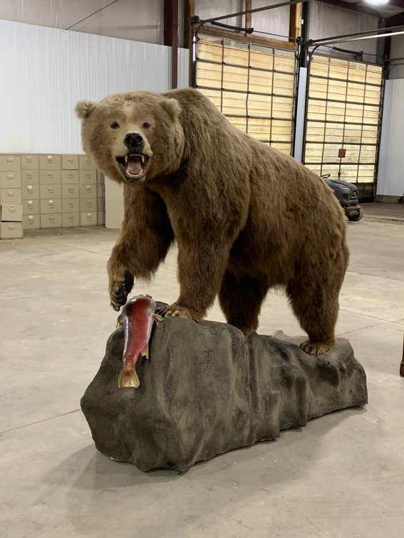 Image for Winter 2024 Guns, Knives, Taxidermy Auction