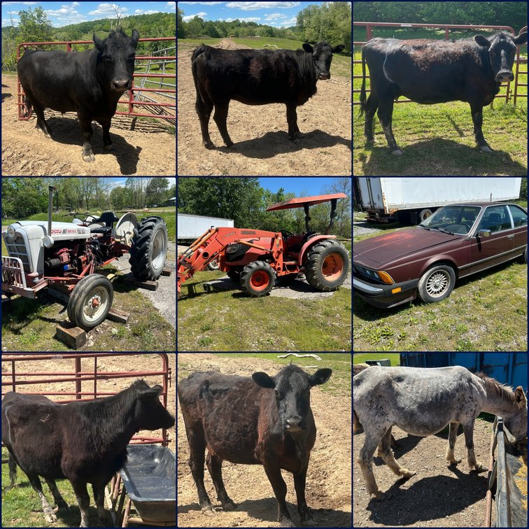 Image for Buckhannon, WV – Farm Equipment, Tractors, BMW 635 CSI, Cattle, Donkeys