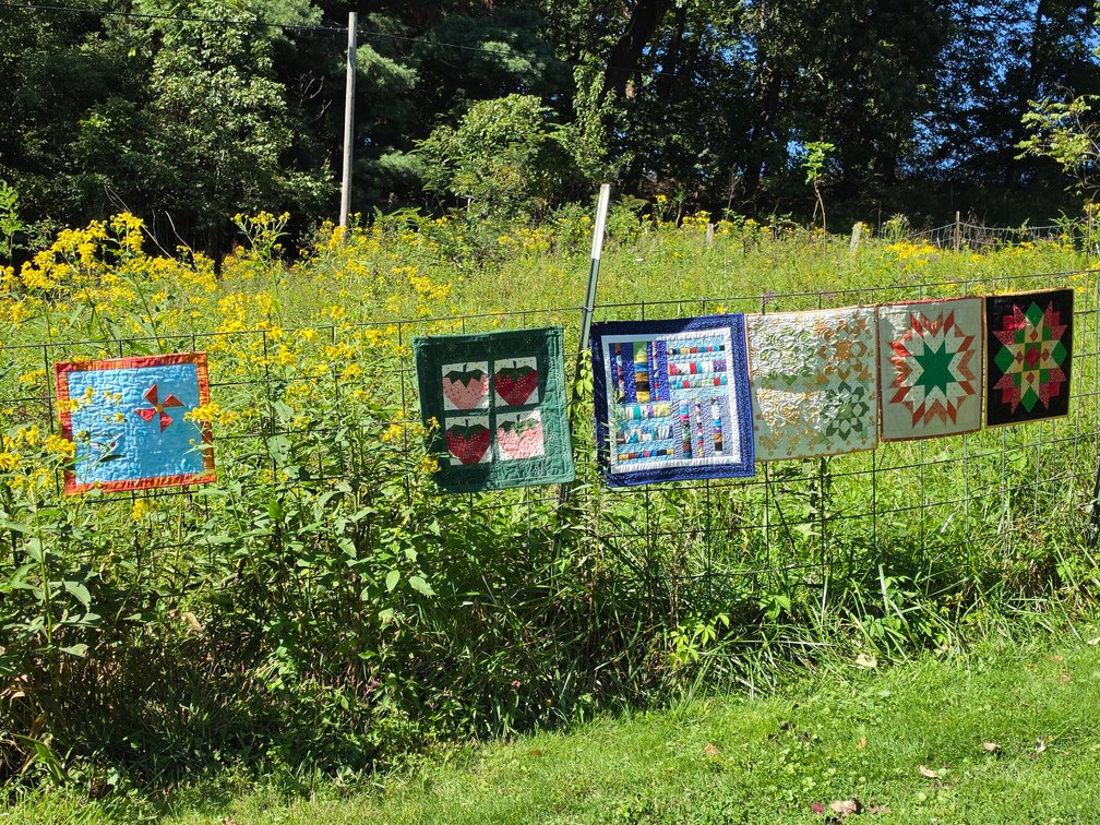 Image for Morgantown, WV - 2026 Country Roads Quilt Guild Benefit Auction & Quilt Walk