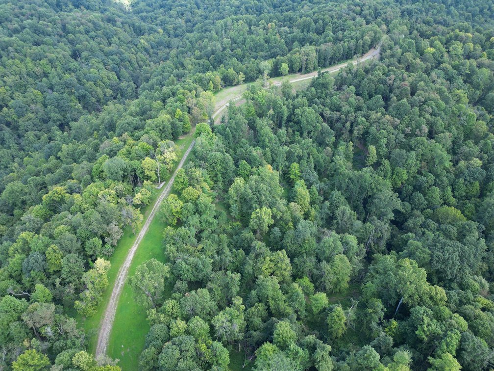 Image for Over 100 Acres Offered in 2 Parcels in Wetzel County
