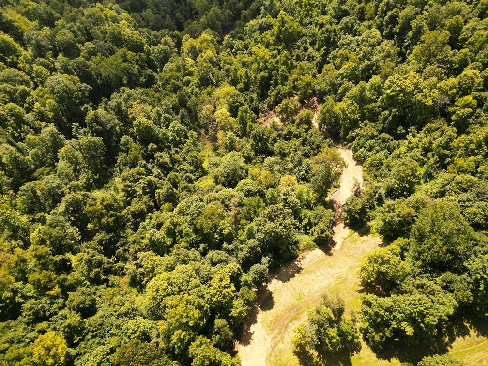 Image for Over 100 Acres Offered in 2 Parcels in Wetzel County