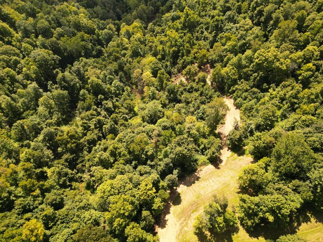 Image for Over 100 Acres Offered in 2 Parcels in Wetzel County
