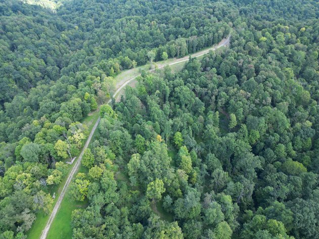 Image for Over 100 Acres Offered in 2 Parcels in Wetzel County
