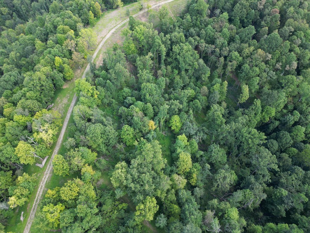 Image for Over 100 Acres Offered in 2 Parcels in Wetzel County