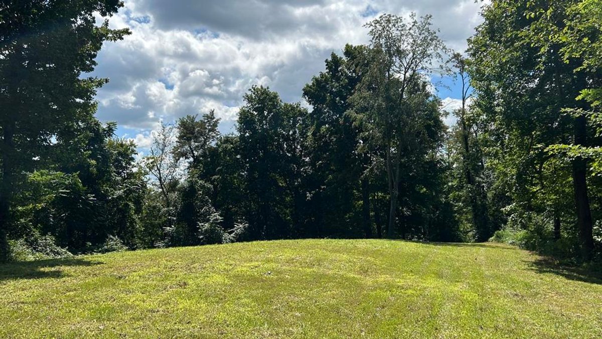 Image for Over 100 Acres Offered in 2 Parcels in Wetzel County