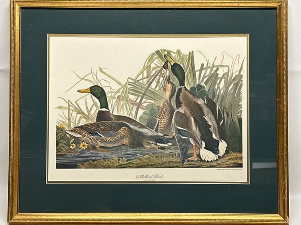 Image for Art Auction