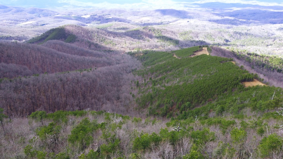 Image for Six Tracts Of Mountain Land - Patrick County VA