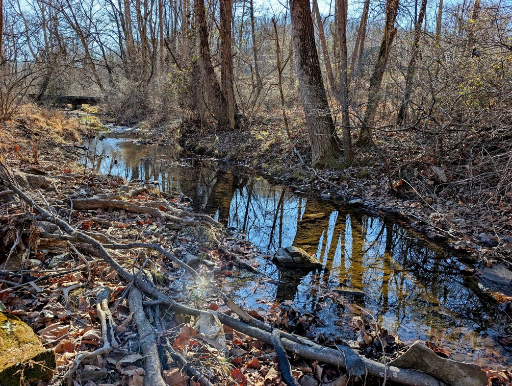 Image for 8.4 +/- Acres Near Winchester VA
