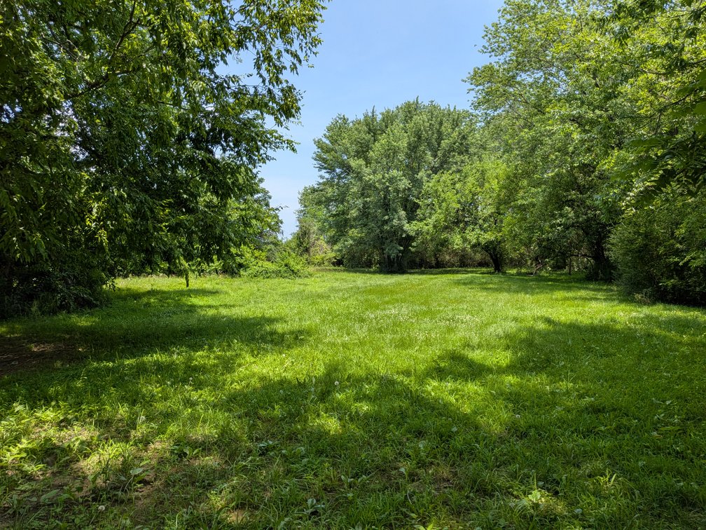 Image for Two Homes on 4.93 +/- Acres in Midland VA