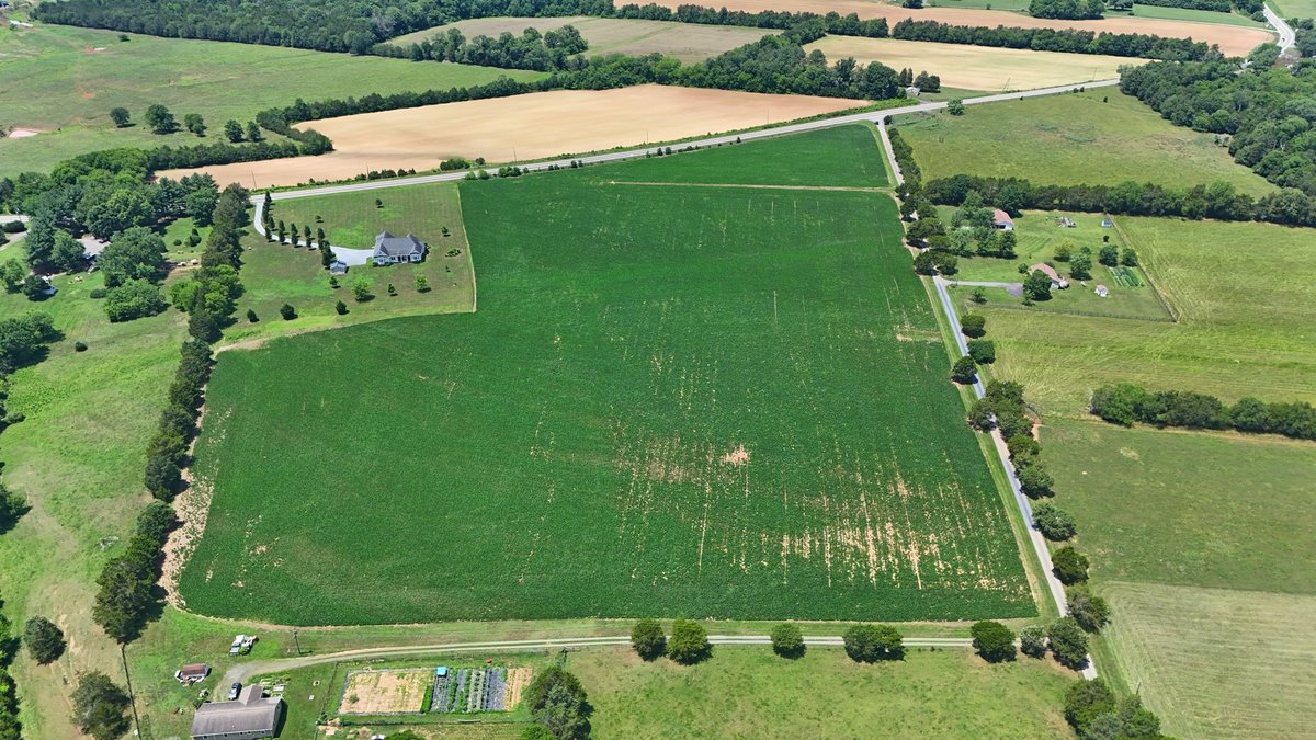 Image for Beautiful Custom Home on 26 Acres Near Catlett VA
