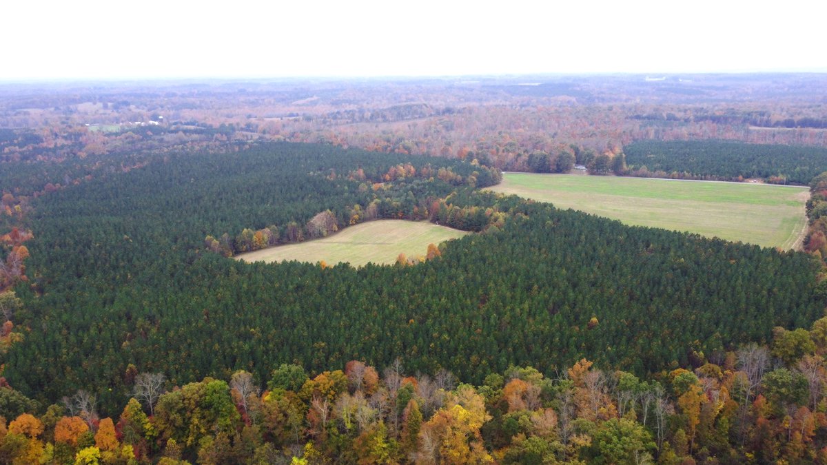 Image for Three Tracts of Land - Halifax County VA