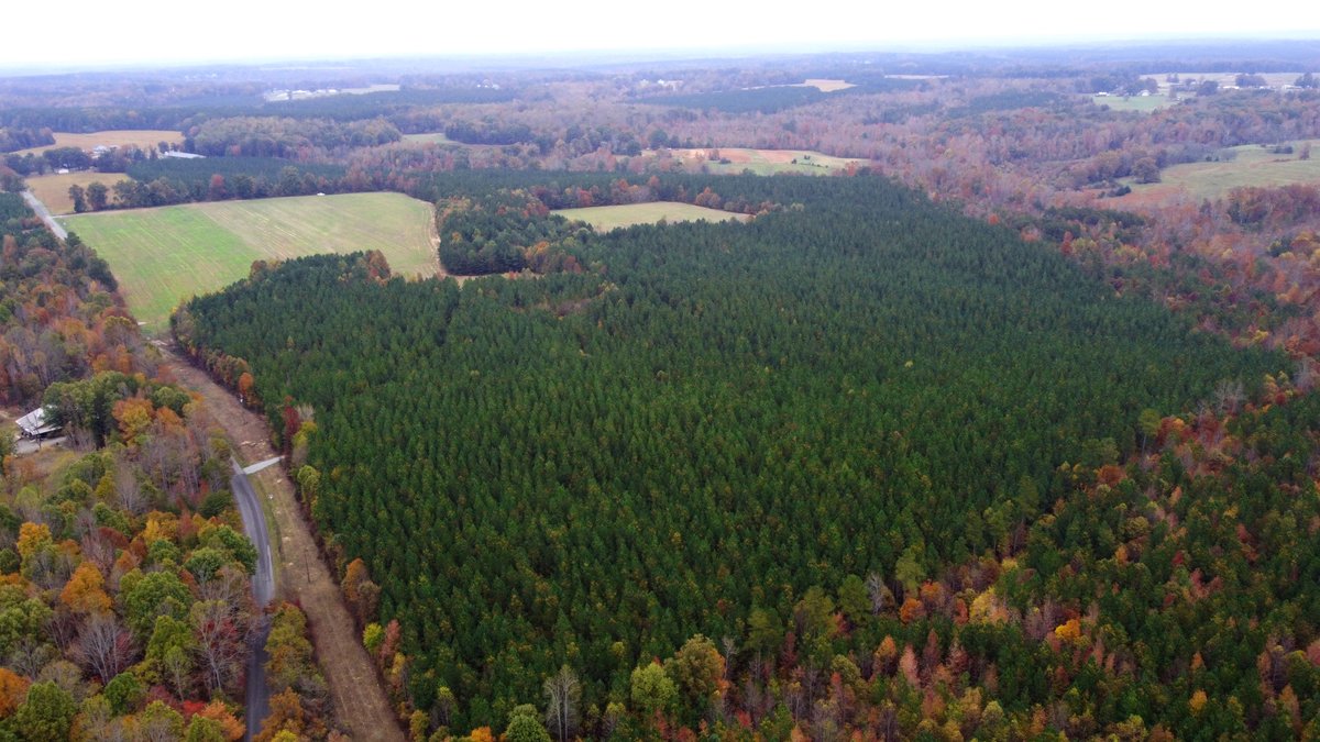 Image for Three Tracts of Land - Halifax County VA