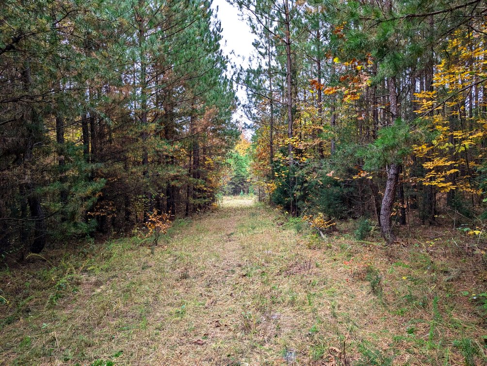 Image for Three Tracts of Land - Halifax County VA