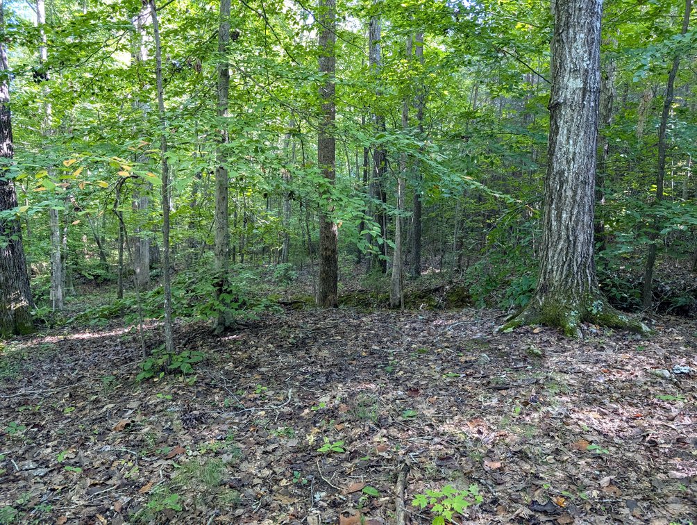 Image for Three Tracts of Land - Halifax County VA