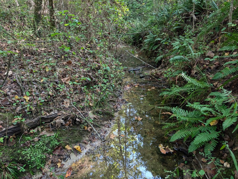 Image for Three Tracts of Land - Halifax County VA