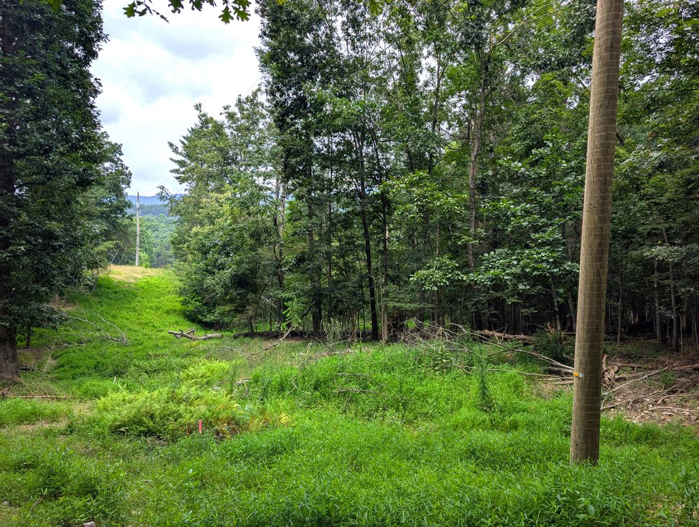 Image for 50+/- Acres Of Land In Rockingham County VA