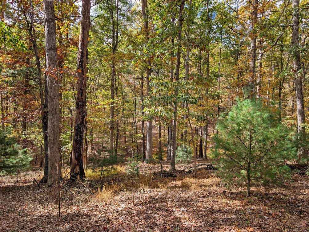 Image for Cabin On 5 Acres Near Broadway VA