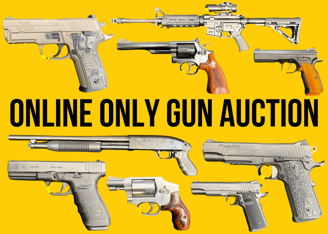 Handgun, Rifle, Shotgun Auction photo 1