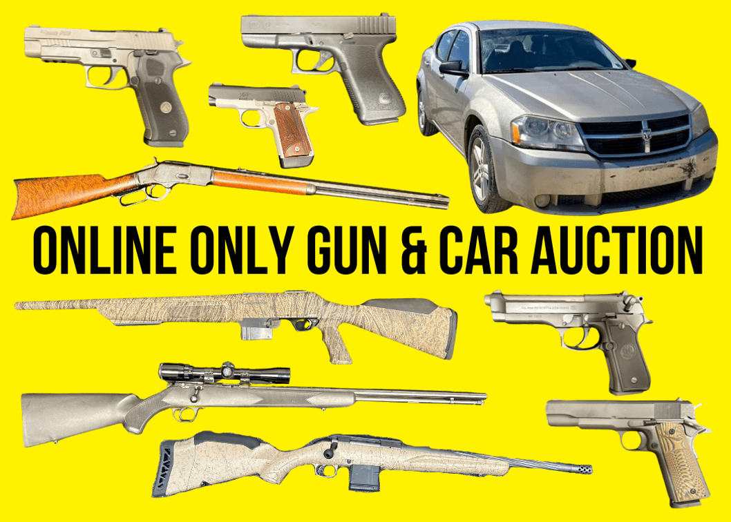 Gun and Car Auction - Rifles, Shotguns, Pistols, 2008 Dodge Avenger photo 1