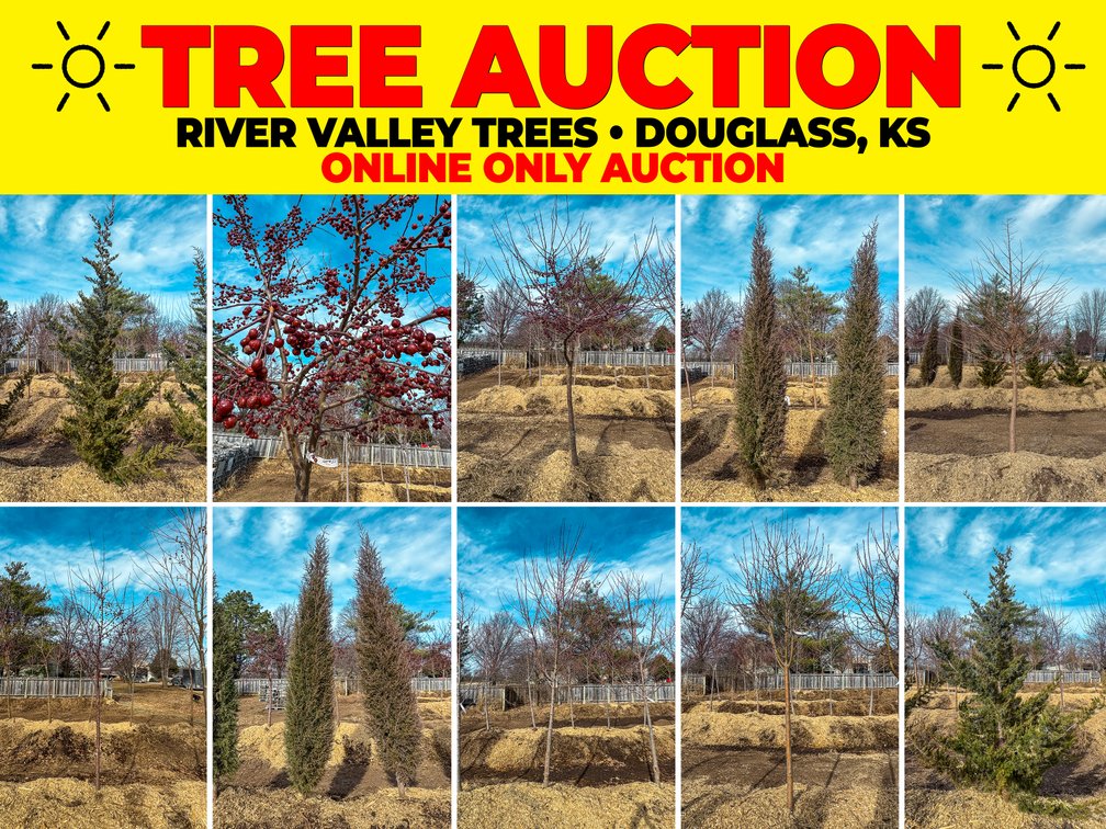 River Valley Trees - TREE AUCTION photo 1