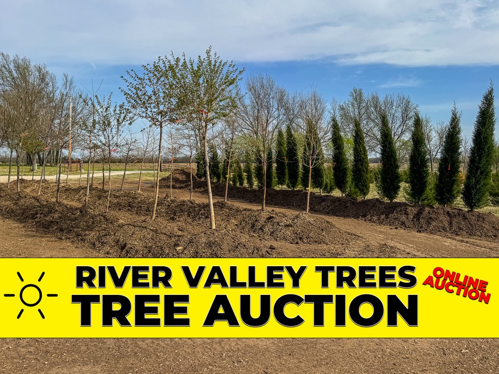 River Valley Trees - TREE AUCTION photo 1