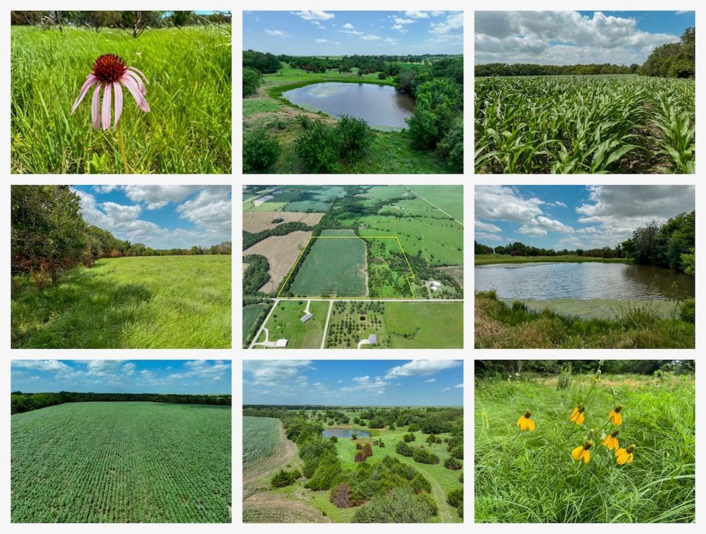 40 Acres: Pond, Trees, Pasture and Farm Ground North of El Dorado, Kansas photo 1
