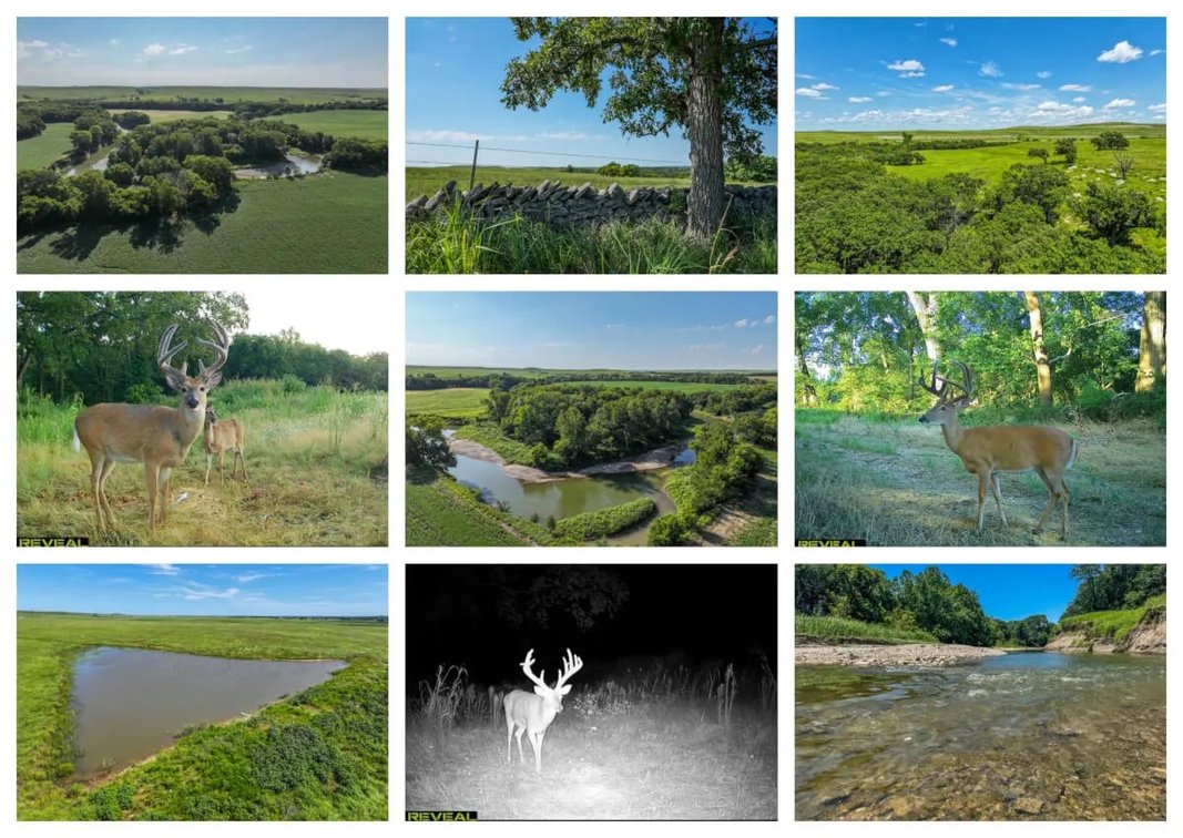 352.7 Acres Chase County, Kansas: Cottonwood River, Tillable, Pasture, Trees & Big Deer photo 1