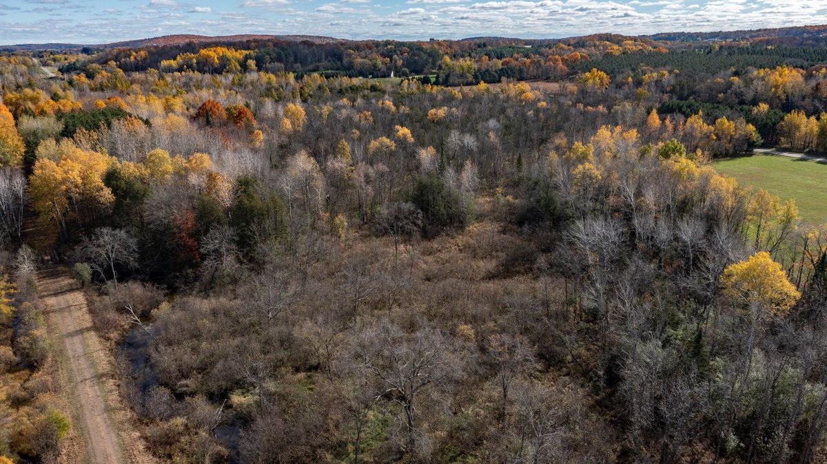 Image for David Haufe Land Auction