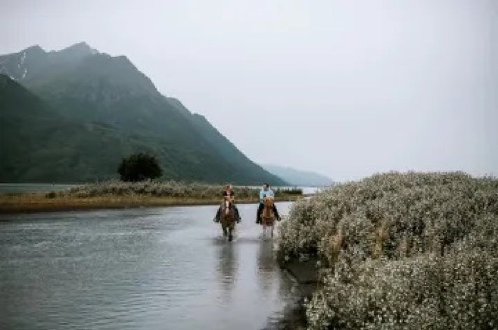 Image for Champions of the Wild 2024 Fundraising Auction